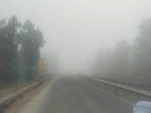 Read more about the article नए साल की पहली सुबह: कोहरे में लिपटा मध्यप्रदेश, मौसम विभाग ने जारी किया कड़ाके की ठंड और शीतलहर का अलर्ट