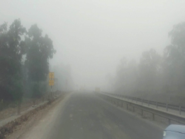 You are currently viewing नए साल की पहली सुबह: कोहरे में लिपटा मध्यप्रदेश, मौसम विभाग ने जारी किया कड़ाके की ठंड और शीतलहर का अलर्ट