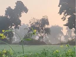 Read more about the article MP में बारिश और ठंड का डबल अटैक,16 जिलों के लिए अलर्ट; 2 दिन बाद फिर गिरेगा पारा …