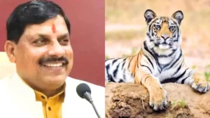 Read more about the article चंबल क्षेत्र में बाघों का नया घर: मध्य प्रदेश को मिलेगा 9वां टाइगर रिजर्व, माधव राष्ट्रीय उद्यान बनेगा टाइगर रिजर्व; CM यादव बोले- जल्द जारी होगी अधिसूचना