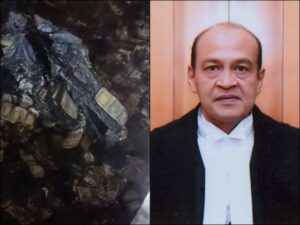 Read more about the article जस्टिस वर्मा कैश कांड: दिल्ली पुलिस ने सील किया जस्टिस वर्मा का स्टोर रूम, FIR दर्ज करने की मांग पर होगी सुनवाई; कोर्ट ने एडवोकेट मैथ्यूज जे नेदुम्परा को सार्वजनिक बयान से रोका