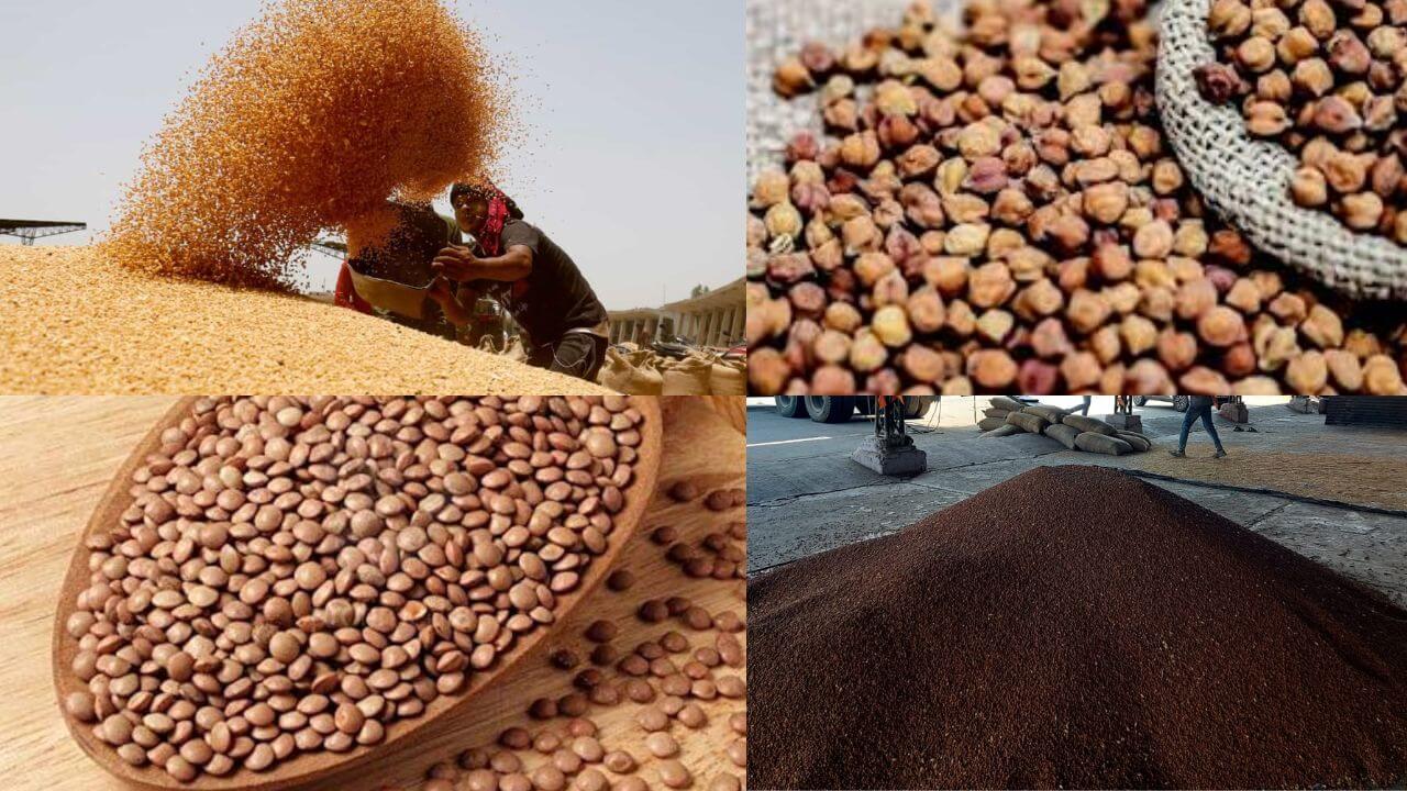 You are currently viewing किसानों के लिए बड़ी खुशखबरी, समर्थन मूल्य पर खरीदी के लिए पंजीयन की अंतिम तिथि बढ़ी; अब 21 मार्च तक करा सकते हैं चना, मसूर और सरसों की खरीदी के लिए पंजीयन