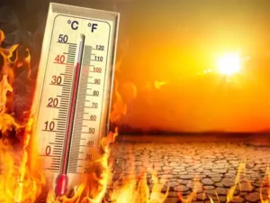 Read more about the article तपती ज़मीन, जलता आसमान! प्रदेश में गर्मी ने तोड़े सारे रिकॉर्ड, मध्यप्रदेश में लू का कहर; 30 जिलों में अलर्ट जारी