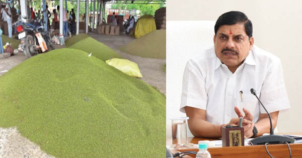 You are currently viewing मूंग-उड़द की MSP पर खरीदी को लेकर मुख्यमंत्री मोहन यादव का बड़ा ऐलान: 19 जून से शुरू होगा किसानों का पंजीयन, सीधे खाते में पहुंचेगा पैसा; गोदाम तक परिवहन की भी पुख्ता व्यवस्था!