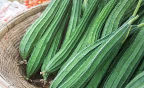 Read more about the article तोरई: एक सादी दिखने वाली सब्जी जो सेहत का खजाना है – जानिए इसके जबरदस्त फायदे!