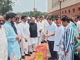 Read more about the article सिर्फ 20 मिनट चली लोकसभा की कार्यवाही, अब 28 जुलाई तक स्थगन: गांधी प्रतिमा से मकर द्वार तक राहुल-खड़गे ने SIR को लेकर पैदल मार्च निकाला, सभी नेताओं ने “SIR” लिखे हुए पोस्टर फाड़े!