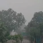 मध्यप्रदेश में मानसून ने पकड़ी रफ्तार, 11 जिलों में भारी बारिश का अलर्ट; 15 अगस्त से शुरू होगा तेज बारिश का सिलसिला