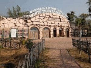 Read more about the article सीमा बदलने के प्रस्ताव से गरमाई विंध्य की राजनीति, मैहर की 6 पंचायतों को रीवा में मिलाने के प्रस्ताव पर नेताओं का संगठित विरोध तेज़; सांसद गणेश सिंह बोले—‘किसी कीमत पर गांव मैहर से बाहर नहीं जाएंगे’!