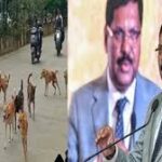 दिल्ली-NCR से आवारा कुत्ते हटाने के आदेश पर सुप्रीम कोर्ट फिर कर सकता है पुनर्विचार, CJI बोले – “मैं देखूंगा”; 11 अगस्त को कोर्ट ने कहा था – कुत्तों को पकड़ो, नसबंदी करो, शेल्टर भेजो!