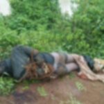 जबलपुर में खौफनाक वारदात: घरेलू विवाद ने ली जान, दो बेटों ने मिलकर लाठी-डंडों से हमला कर पिता को मौत के घाट उतारा; पुलिस ने किया गिरफ्तार!