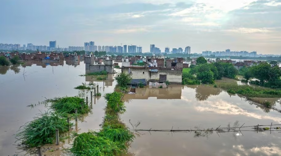 You are currently viewing दिल्ली-NCR में बाढ़, नोएडा के कई सेक्टर डूबे