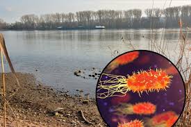 Read more about the article मध्यप्रदेश में खतरनाक बीमारी मेलियोइडोसिस का अलर्ट, NHM ने लोगों को सतर्क रहने की दी चेतावनी; मिट्टी और दूषित पानी से फैलने वाले रोग से अब तक 4 की हुई मौत, मुख्यमंत्री ने कड़े कदम उठाने के दिए निर्देश!