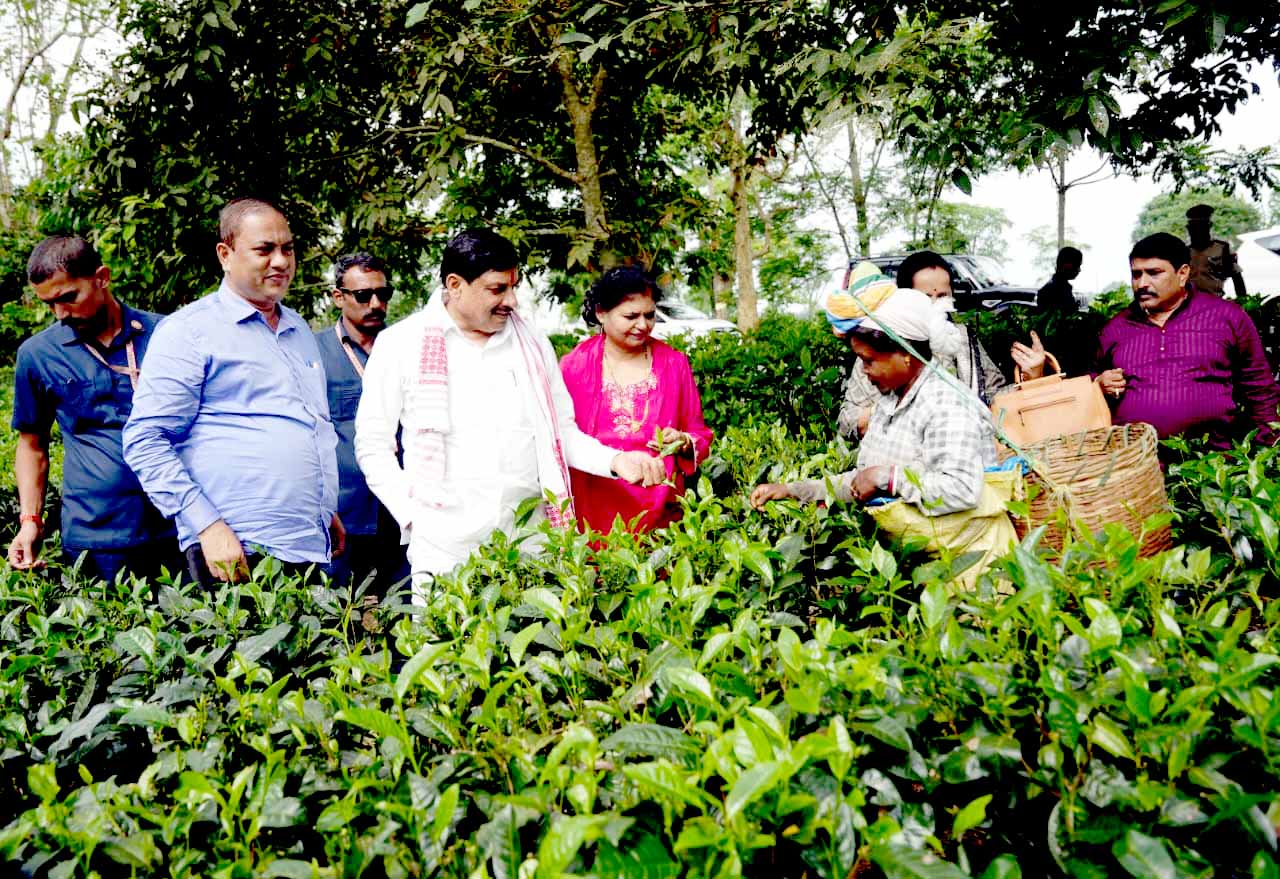 Read more about the article मुख्यमंत्री डॉ. मोहन यादव का असम दौरा: काजीरंगा राष्ट्रीय उद्यान और चाय बागानों का किया सघन अवलोकन, स्थानीय किसानों और श्रमिकों से किया संवाद; CM यादव ने वन्यजीव संरक्षण पर जताया अपनत्व!