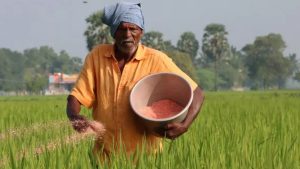 Read more about the article एमपी के किसानों के लिए गुड न्यूज! ‘गैस सिलेंडर’ की तरह राज्य सरकार घर-घर पहुंचाएगी खाद