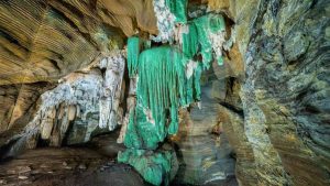 Read more about the article कांगेर घाटी में मिली अनोखी ‘Green Cave’, प्राकृतिक खूबसूरती देख आपको भी नहीं होगा यकीन