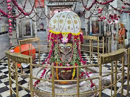 Read more about the article पशुपतिनाथ लोक से बदली मंदसौर की धार्मिक तस्वीर: मुख्यमंत्री मोहन यादव ने किया लोकार्पण, 15 बीघा में फैला लोक बना आस्था और पर्यटन का नया केंद्र